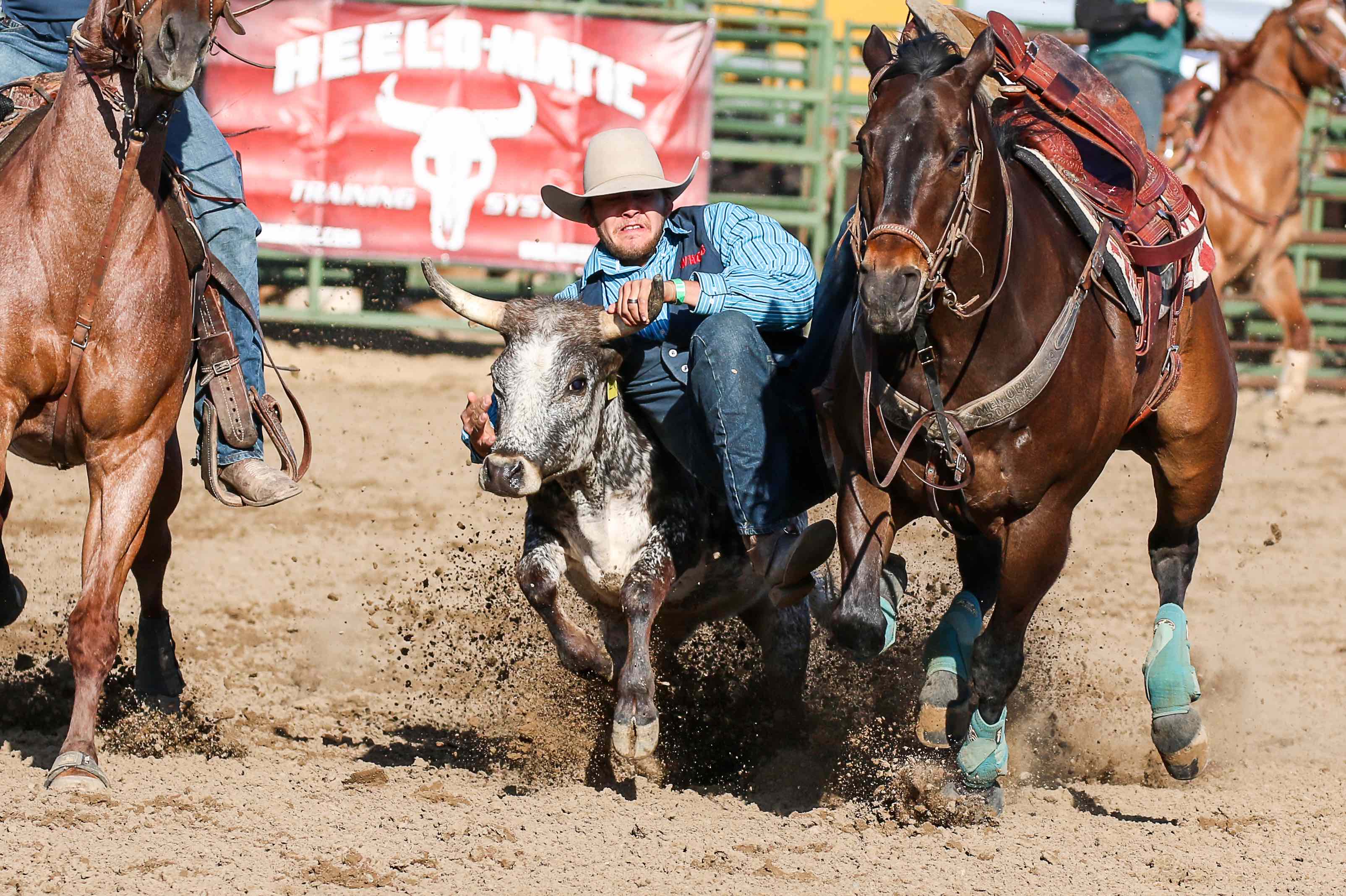 Poly Royal Rodeo coming to Spanos Fansmanship